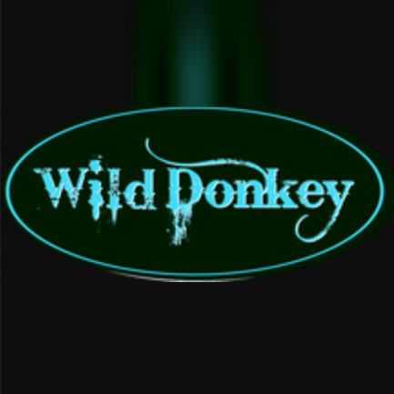 wild donkey Berlingen